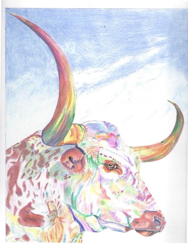 Colorful pencil drawing of a longhorn cattle head